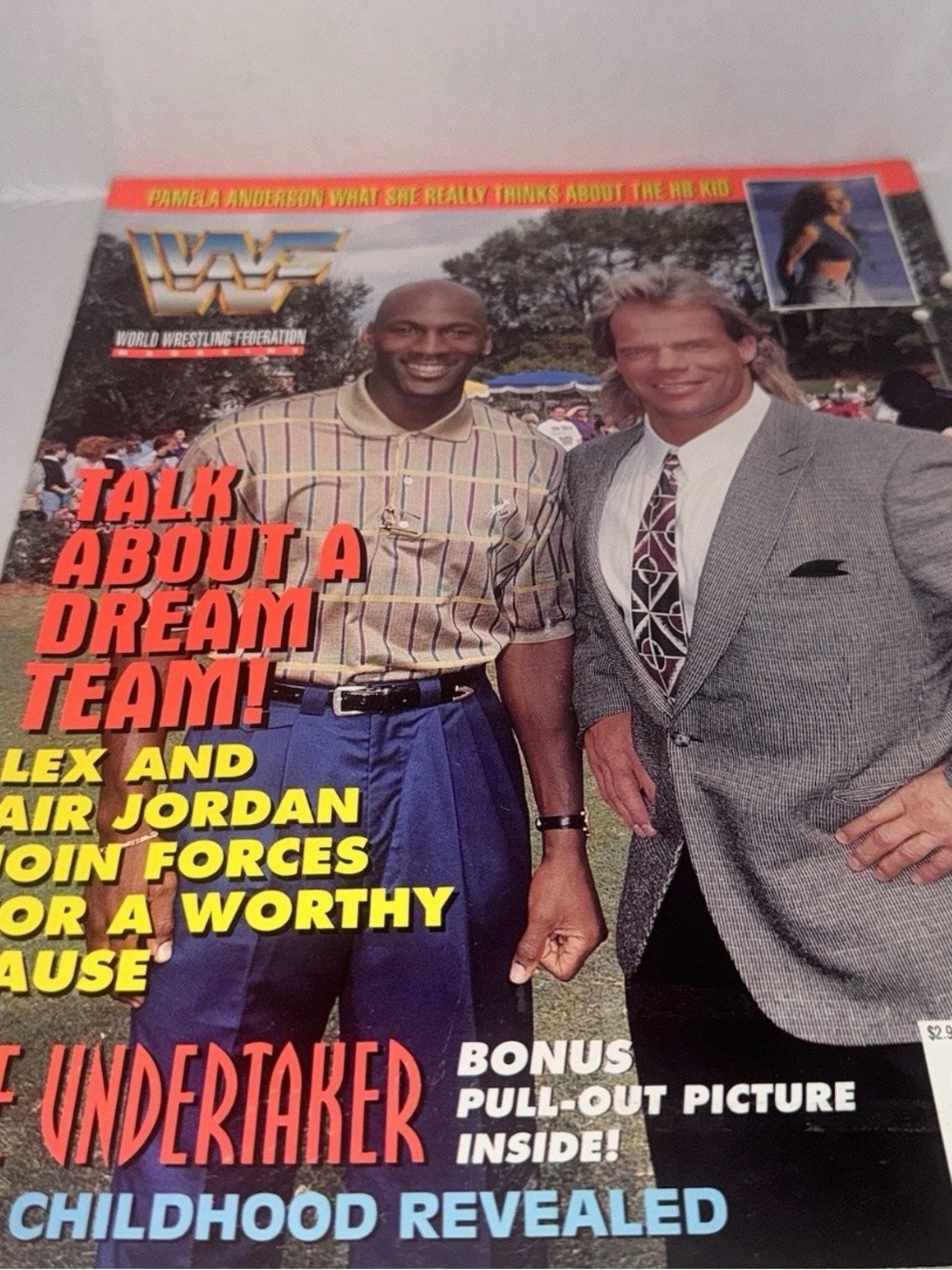 Vintage WWF Wrestling Magazine May 1995 Lex Luger Michael Jordan Cover
